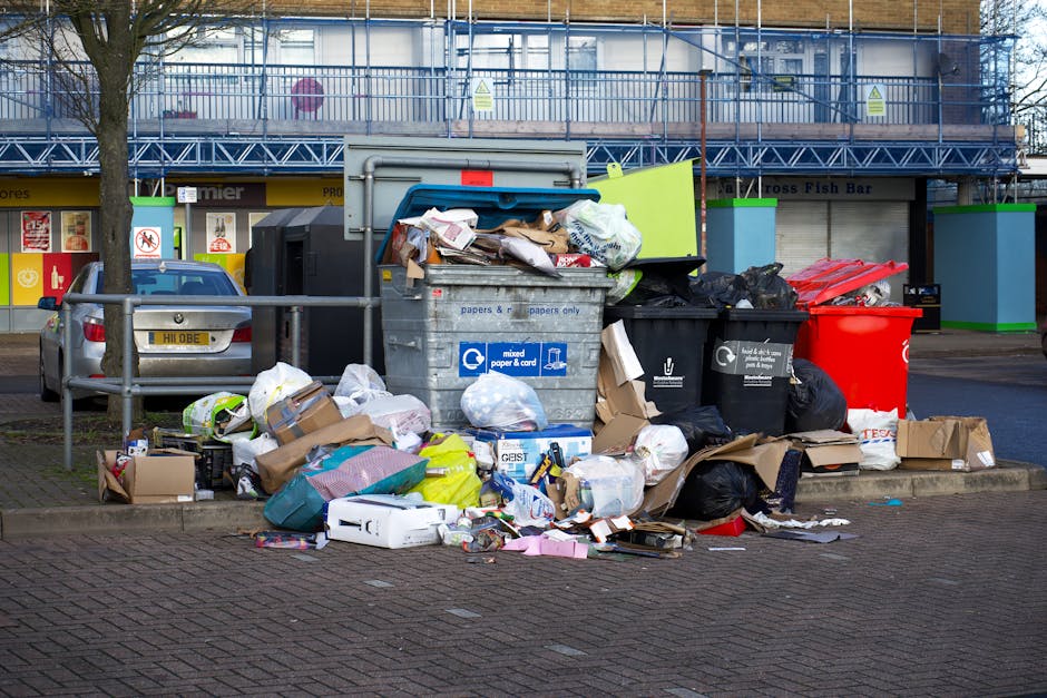 Churchill Gardens estate rubbish clearance insider tips